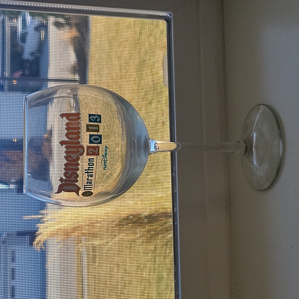 Disneyland 1/2 Marathon Wine Glass 2013